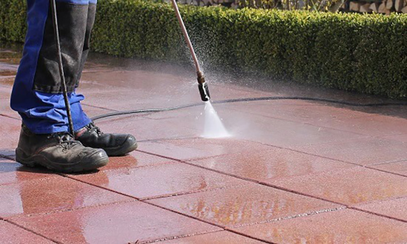 Hướng dẫn 5 cách tẩy rong rêu hiệu quả