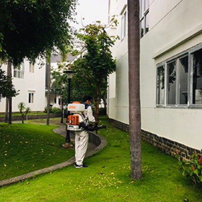 Dịch vụ kiểm soát côn trùng