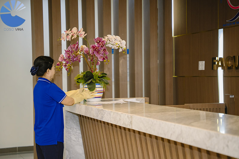 Vì sao cần sử dụng dịch vụ chăm sóc cây cảnh?