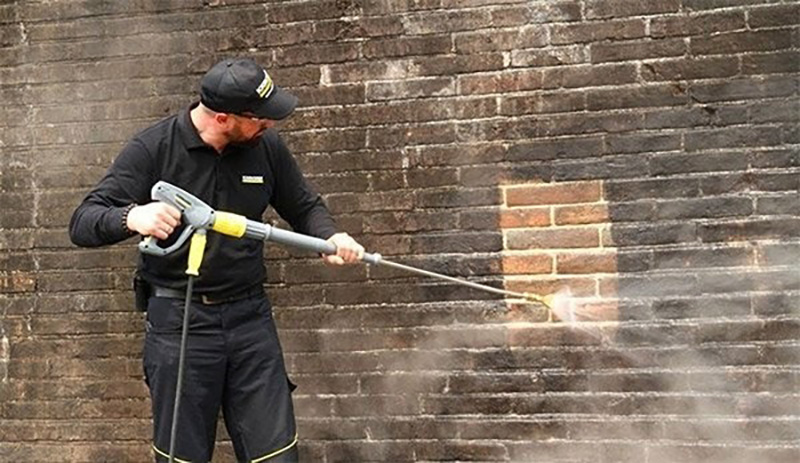 5 cách tẩy rong rêu hiệu quả 5 cách tẩy rong rêu hiệu quả